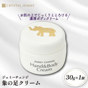 Z000 ジェミーチェンジ 象の足クリーム 50g 計2個セット : エル
