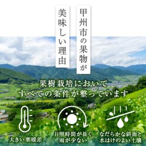 ふるさと納税 厳選!山梨県甲州市産 ころ柿 枯...の詳細画像1
