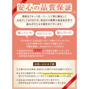 ふるさと納税 厳選!山梨県甲州市産 ころ柿 枯...の詳細画像2