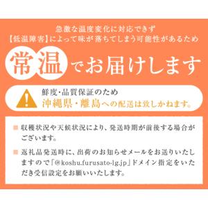 ふるさと納税 厳選!山梨県甲州市産 ころ柿 枯...の詳細画像4