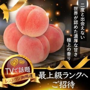 ふるさと納税 【海外セレブ御用達の贈答品】わずか5%糖度16度以上の樹上完熟ブランド桃2026年8月上旬発送【配送不可地域：離島・北海道・沖縄県.. 山梨県山梨市