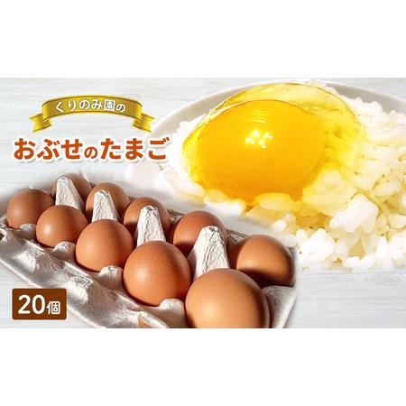 ふるさと納税 おぶせのたまご20個 長野県長野市