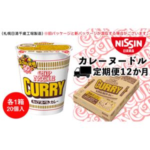 ふるさと納税 【定期便12か月】日清 カレーヌードル★1箱（20食入） 北海道千歳市