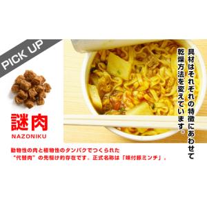 ふるさと納税 【定期便12か月】日清 カレーヌ...の詳細画像3