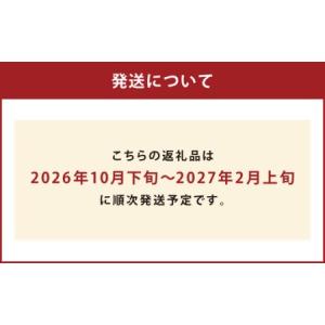 ふるさと納税 【規格外品】 みかん ご家庭用 ...の詳細画像2