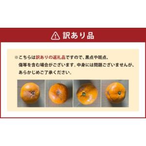 ふるさと納税 【規格外品】 みかん ご家庭用 ...の詳細画像3