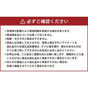 ふるさと納税 【規格外品】 みかん ご家庭用 ...の詳細画像4