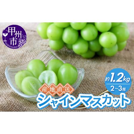 ふるさと納税 産地直送やみつきシャインマスカット 約1.2kg（2〜3房）【2026年発送】（RC）...