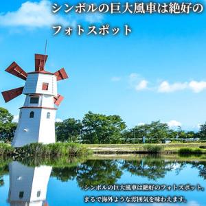 ふるさと納税 【M-174】STAGEX高島 ...の詳細画像4