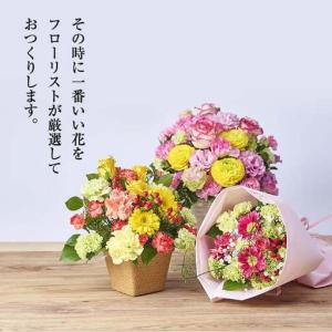 ふるさと納税 <定期便・6回(連続)>季節のお...の詳細画像2