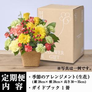 ふるさと納税 <定期便・6回(連続)>季節のお...の詳細画像4