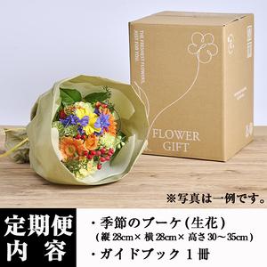 ふるさと納税 <定期便・12回(連続)>季節の...の詳細画像3