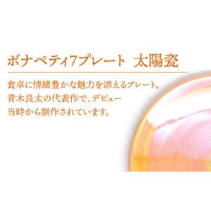 ふるさと納税 【美濃焼】ボナペティ7プレート ...の詳細画像1