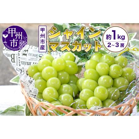ふるさと納税 山梨の自然が産んだスイートエメラルド甲州市産シャインマスカット！約1kg 2〜3房【2...