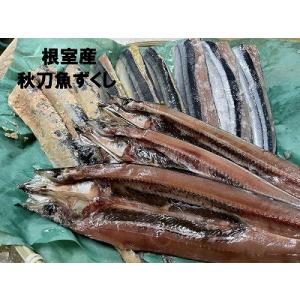 ふるさと納税 【北海道根室産】秋刀魚尽くし A-54014 ...