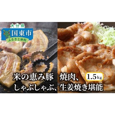 ふるさと納税 1176R_米の恵み豚/焼肉,しゃぶしゃぶ,生姜焼き堪能1.5kg  大分県国東市