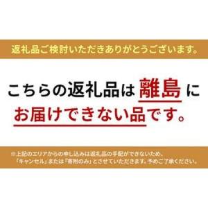 ふるさと納税 3か月連続お届け!信州おやき詰め...の詳細画像1