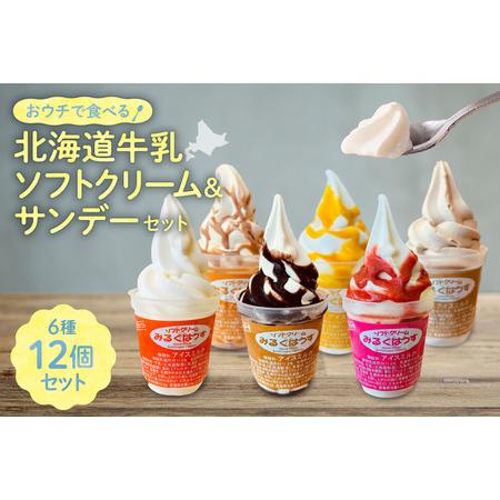 ふるさと納税 おウチで食べる北海道ソフトクリーム＆サンデーセット（6種類×2の12個セット） 北海道...