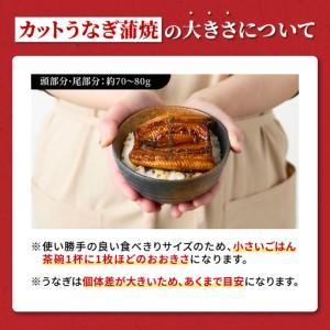 ふるさと納税 937-1 鹿児島県大隅産 『カ...の詳細画像1