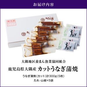 ふるさと納税 937-1 鹿児島県大隅産 『カ...の詳細画像4