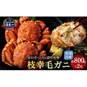 ふるさと納税 【漁獲量日本一】至福の逸品！特選冷凍「枝幸毛がに」約800g×2尾【 毛蟹 毛ガニ オホーツク 北海道 加工食品 地域のお礼の品 .. 北海道枝幸町