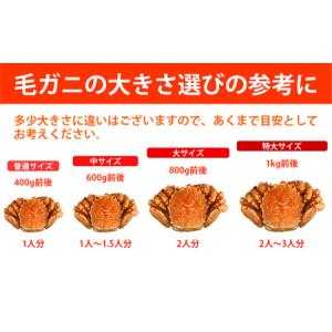 ふるさと納税 【漁獲量日本一】至福の逸品!特選...の詳細画像1