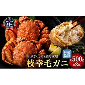 ふるさと納税 【漁獲量日本一】至福の逸品！特選冷凍「枝幸毛がに」約500g×2尾【 毛蟹 毛ガニ オホーツク 北海道 加工食品 地域のお礼の品 .. 北海道枝幸町