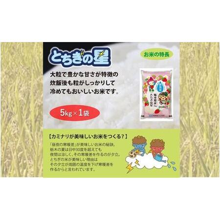 ふるさと納税 栃木県鹿沼市産 とちぎの星 無洗米 5kg 令和5年産 水稲うるち精米 単一原料米 お...