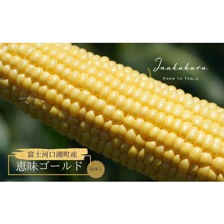 ふるさと納税 とうもろこし ＜2026年8月発送＞【富士山の麓で育つ】河口湖ブランドとうもろこしIn...