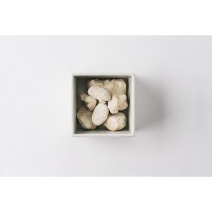 ふるさと納税 【数量限定】MASU / 珊瑚デ...の詳細画像2
