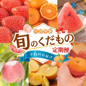 ふるさと納税 定期便【全6回/1〜2・3・6・7・10・11月】わかやま旬のくだもの定期便【Ｓ】（配送日時指定不可）※北海道・沖縄・離島への配.. 和歌山県すさみ町