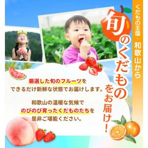 ふるさと納税 定期便【全6回/1〜2・3・6・...の詳細画像1