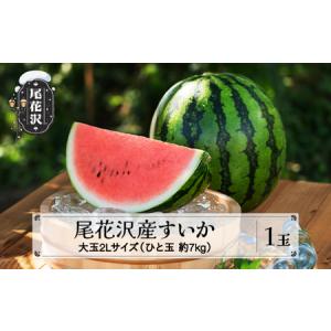 ふるさと納税 先行予約 尾花沢産すいか 2Lサイズ 約7kg×1玉 7月中旬〜8月中旬頃発送 令和6年産 2024年産 農産加工 ※沖縄・離島への配送.. 山形県尾花沢市