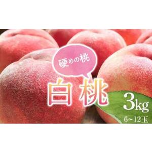 ふるさと納税 《2026年産先行受付》 山形県産...の商品画像