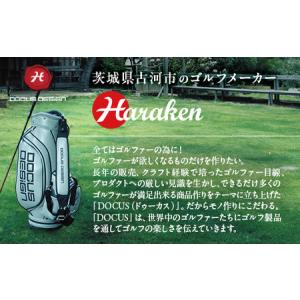 ふるさと納税 ゴルフクラブ 5本セット REL...の詳細画像3