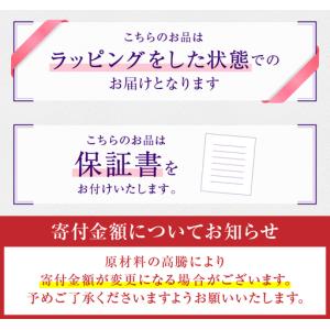 ふるさと納税 指輪 天然 ダイヤモンド 1.0...の詳細画像2