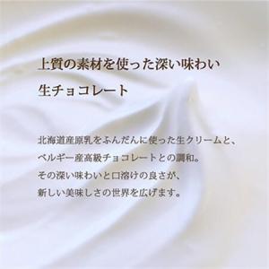 ふるさと納税 【毎月定期便】【プロ仕様】生チョ...の詳細画像2