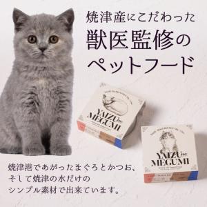 ふるさと納税 ペット フード 猫 焼津の恵 7...の詳細画像1