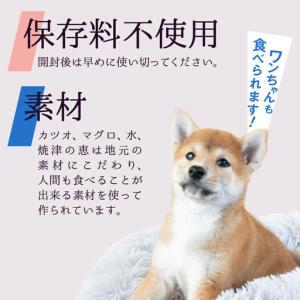 ふるさと納税 ペット フード 猫 焼津の恵 7...の詳細画像2