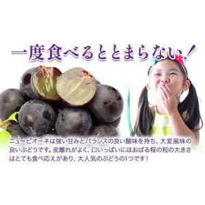 ふるさと納税 【2026年先行予約】ニューピオ...の詳細画像3