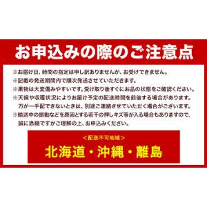 ふるさと納税 【2026年先行予約】ニューピオ...の詳細画像4