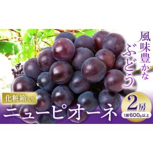 ふるさと納税 【2026年先行予約】ニューピオーネ 1房600ｇ以上 2房 化粧箱入り 株式会社山博(中本青果)《2026年8月下旬-10上旬頃出荷》岡山県 浅.. 岡山県浅口市