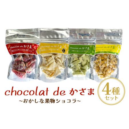 ふるさと納税 Chocolat de かさま おかしな果実ショコラ ４種セット 茨城県笠間市