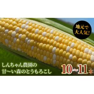 ふるさと納税 大人気！しんちゃん農園の甘〜い森のとうもろこし (10〜11本入り) 静岡県森町｜furunavi