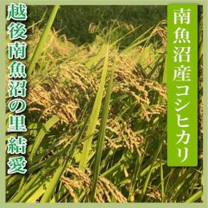 ふるさと納税 【令和7年】【定期便 精米20K...の詳細画像2