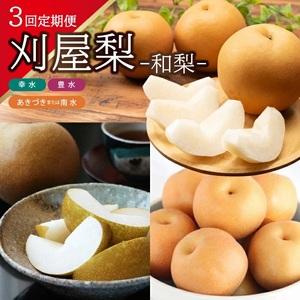 ふるさと納税 SE0488　【3回定期便】美味しい3種の刈屋梨2026 (幸水梨、豊水梨、あきづき梨または南水梨) 山形県酒田市