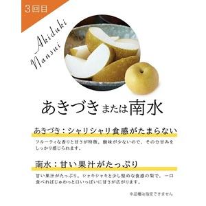 ふるさと納税 SE0488 【3回定期便】美味...の詳細画像3