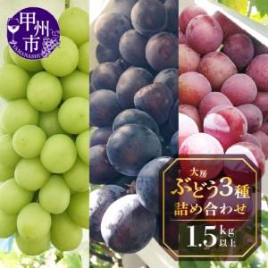 ふるさと納税 甲州屋厳選 大房ぶどう3種詰め合わせ 1.5kg以上【2026年発送】B15-130 ぶどう フルーツ 山梨県甲州市