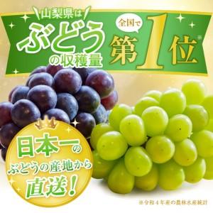 ふるさと納税 甲州屋厳選 大房ぶどう3種詰め合...の詳細画像1