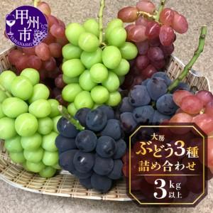 ふるさと納税 甲州屋厳選 大房ぶどう3種詰め合わせ 3kg以上【2026年発送】D-117 ぶどう フルーツ 山梨県甲州市